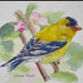 goldfinch_flowers