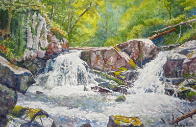 Waterfall at John Burroughs Sanctuary